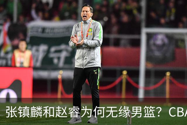 张镇麟和赵睿为何无缘男篮？CBA名记分析，道出2个原因