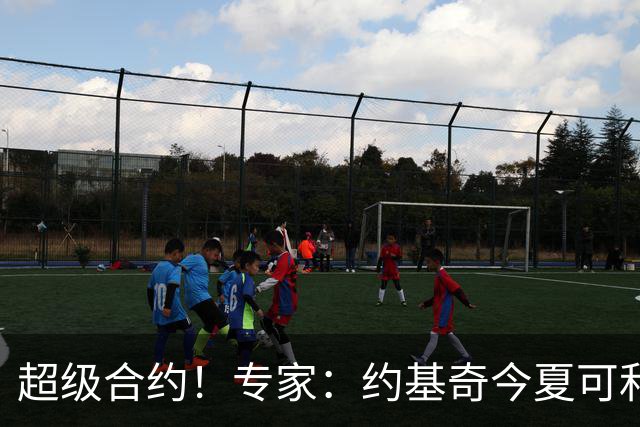 超级合约！专家：约基奇今夏可和掘金签3年2.14亿或4年2.78亿合同